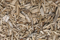biomass boilers Coxhoe